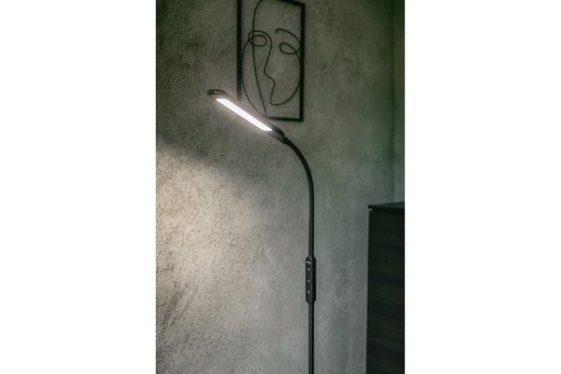 Decor Floor lamp Vasalia 8W 450lm AC220-240V 4-CCT 5 Step Dimming timer45' PF>0 5 RA>80 Black 1208963348