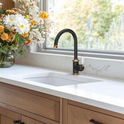 Quadri Worksop Classic Nostalgic Black with PVD Gold Finish Kitchen Faucet with Ceramic Handle 1208967725