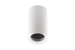 Ceiling luminaire TIPO alum, 65X115, IP20, max 50W, round white