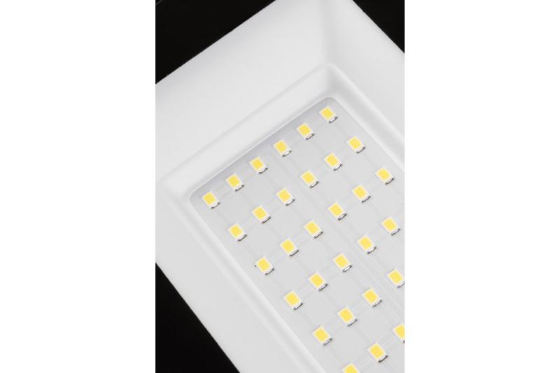 NELI Portable Floodlight, LED, 30W, 2700lm, 6400K, AC220-240V, IP65, 1.5m cable