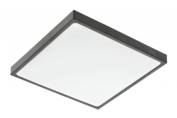 ALTAR LED Ceiling Lamp, 295x295mm, 4000K, 24W, 1680lm, AC180-250V, 50/60 Hz, PF>0.5, IP54, black,3y